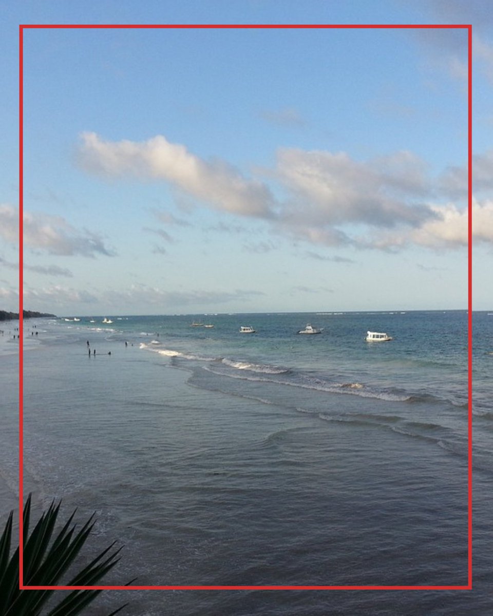 You haven't visited Diani Beach, Kenya yet?

Seriously, what are you waiting for? This stunning paradise is famous for its white sandy beaches, crystal-clear waters, and diverse marine life. Ask us about this package at sales@rickshawtravels.com.

bit.ly/43PLF0L