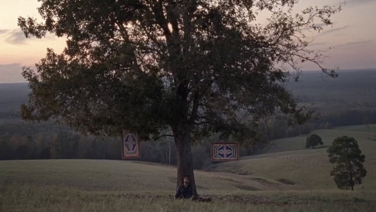 TWD Universe tweet media