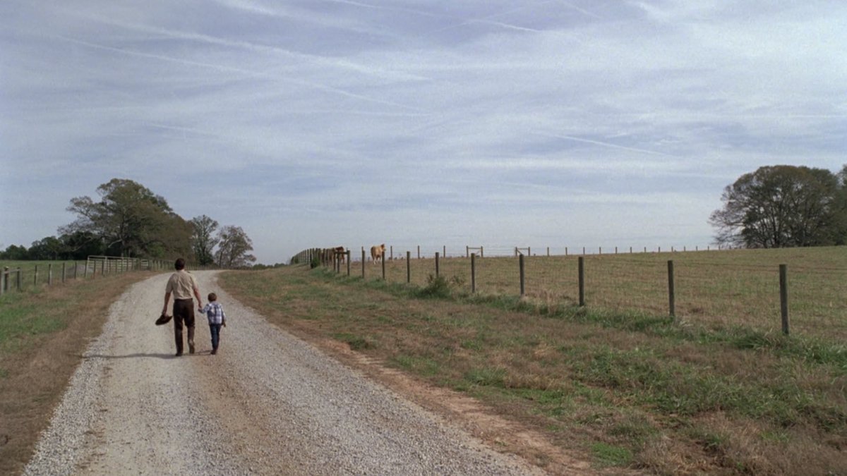 TWD Universe tweet media