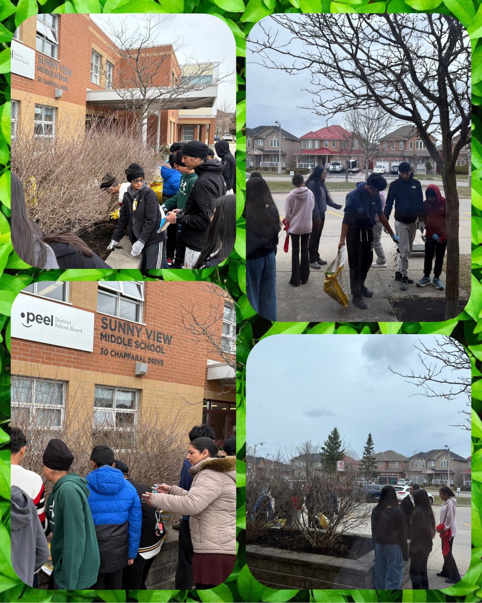 Sunny View MS (@sunnyviewms) on Twitter photo Our Eco Club, led by Ms. Vohra and Ms. Bhathal, freshened up our planters at the front of the school today. They are also growing seedlings of native plants to add to the garden 🪴 <a href="/EcoSchoolsCAN/">EcoSchools Canada</a> <a href="/mrsmfrancis1/">Melissa Francis (She/Her)</a> <a href="/PNeerja/">Neerja</a> <a href="/PeelSchools/">Peel District School Board</a> Our Eco Club, led by Ms. Vohra and Ms. Bhathal, freshened up our planters at the front of the school today. They are also growing seedlings of native plants to add to the garden 🪴 <a href="/EcoSchoolsCAN/">EcoSchools Canada</a> <a href="/mrsmfrancis1/">Melissa Francis (She/Her)</a> <a href="/PNeerja/">Neerja</a> <a href="/PeelSchools/">Peel District School Board</a>