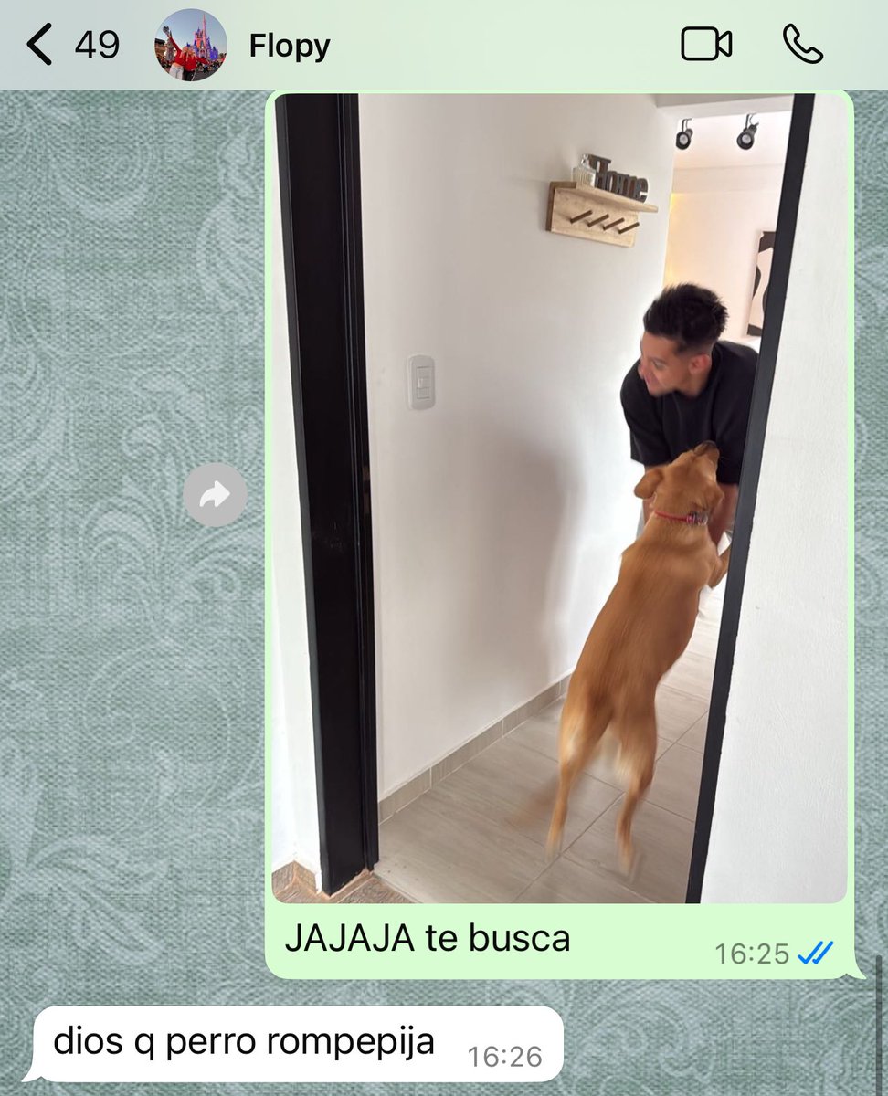 Ojalá mi hermana sea cariñosa con mi perro.
Mi hermana: