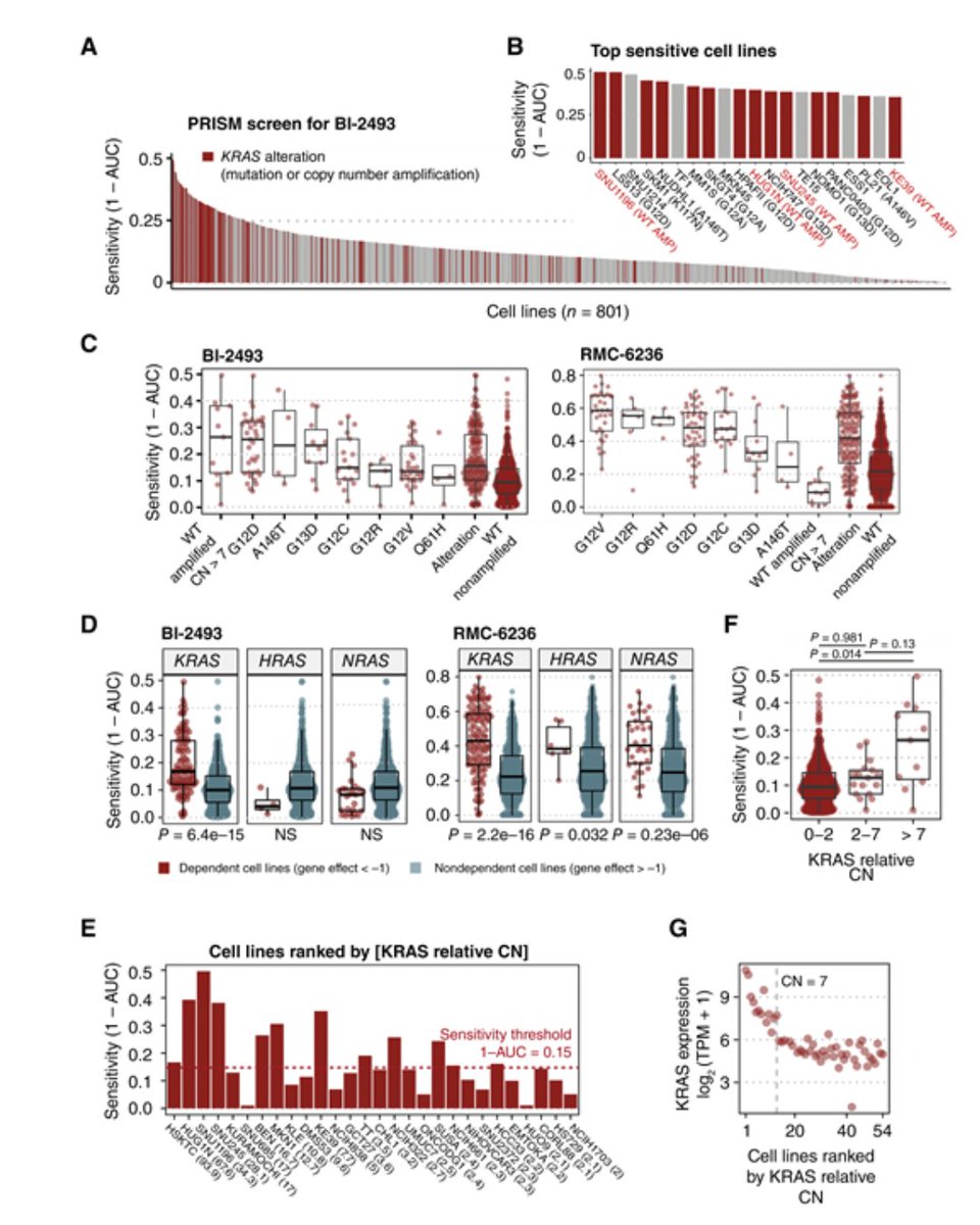 New in Small Molecule Therapeutics: Pan-KRAS Inhibitors BI-2493 and BI-2865 Display Potent Antitumor Activity in Tumors with KRAS Wild-type Allele Amplification brnw.ch/21wS10R