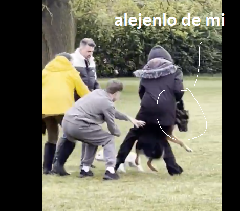 Alex Ander tweet media