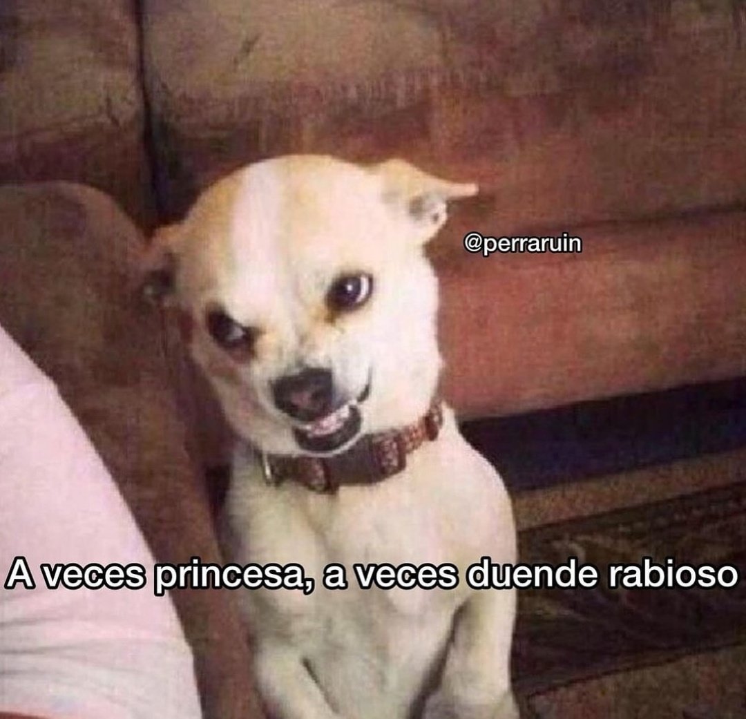 Frases Barbie (@barbie_context) on Twitter photo 