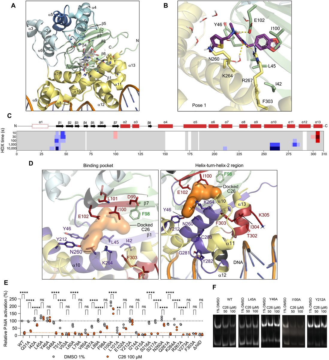 Science Advances tweet media
