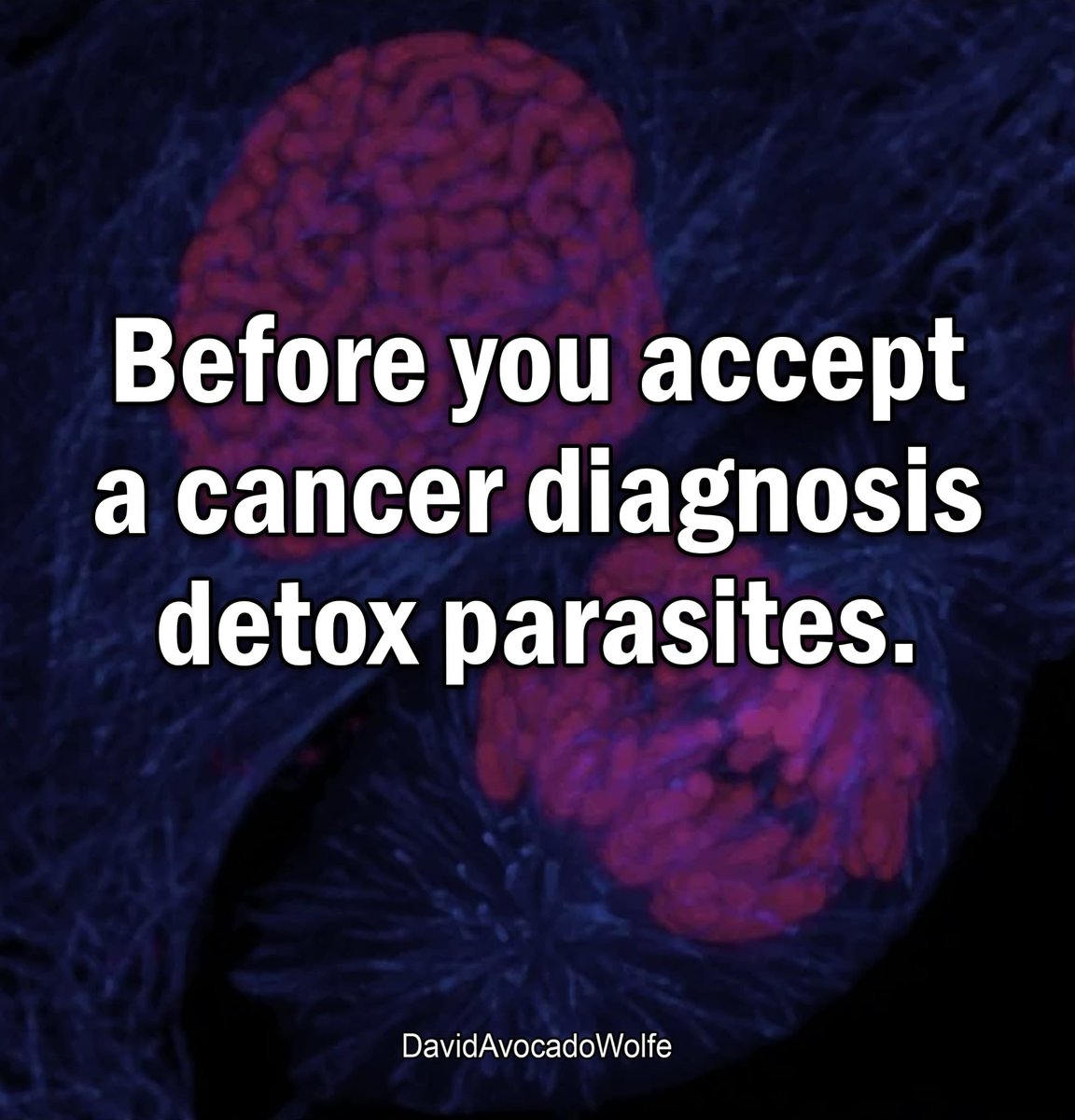 Before you accept a cancer diagnosis, detox parasites.