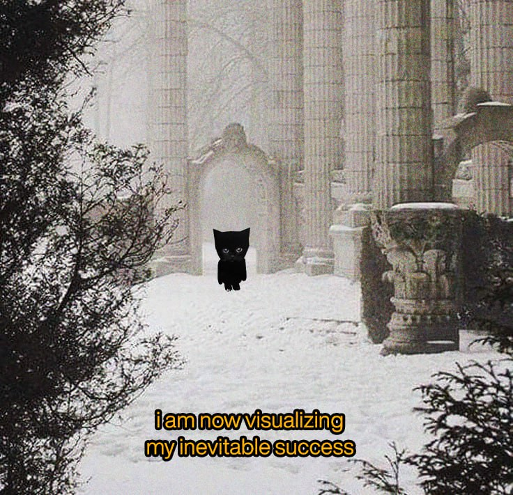 bro the cat tweet media