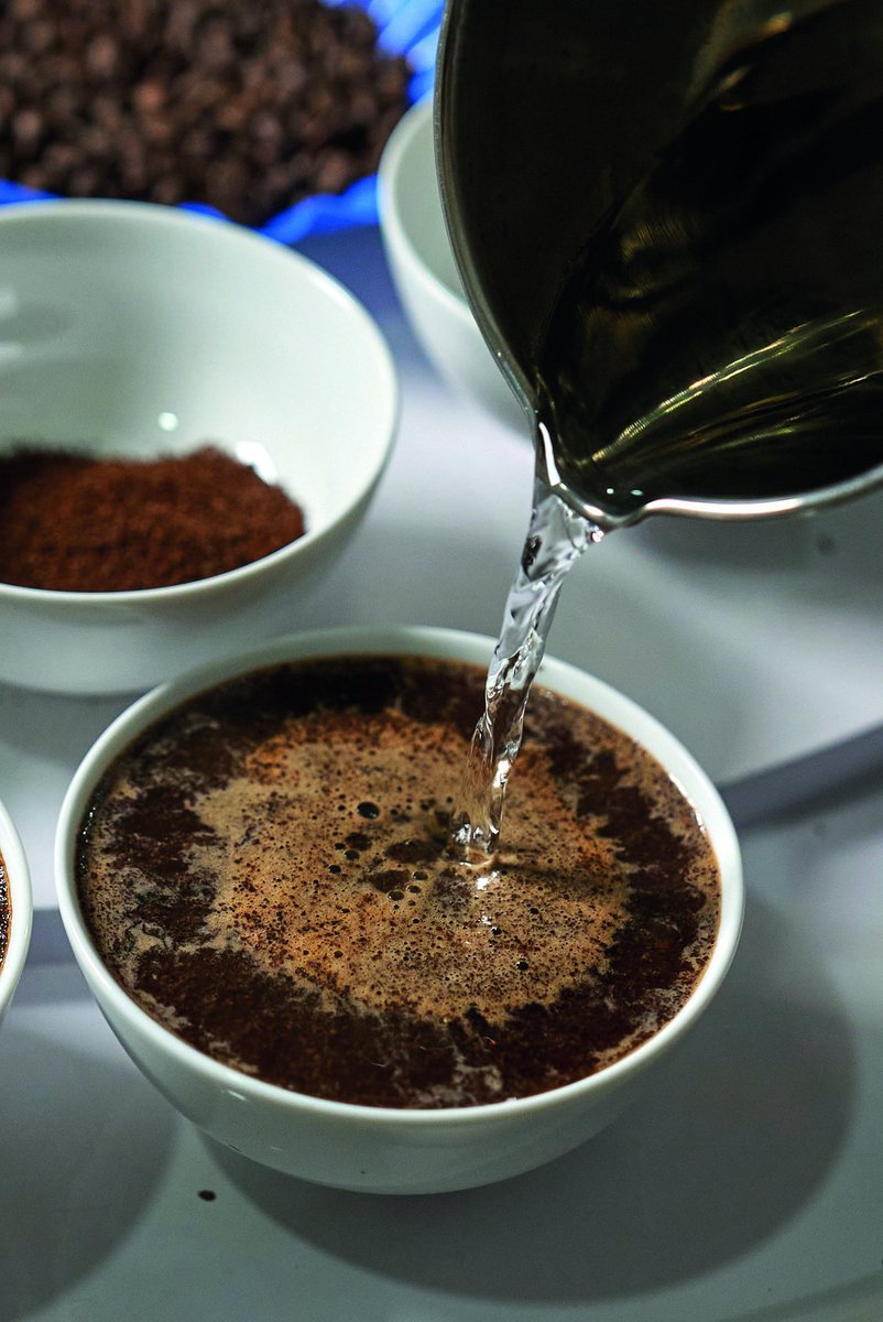 ByarugabaRemi's tweet photo. Empowering youth and women to grow, process, and add value to coffee is my passion. I’m ready to support you — from bean to cup! #CoffeeValueChain #YouthEmpowerment #WomenInAg
@BiraraCoffee https://t.co/X65RLjCDaA