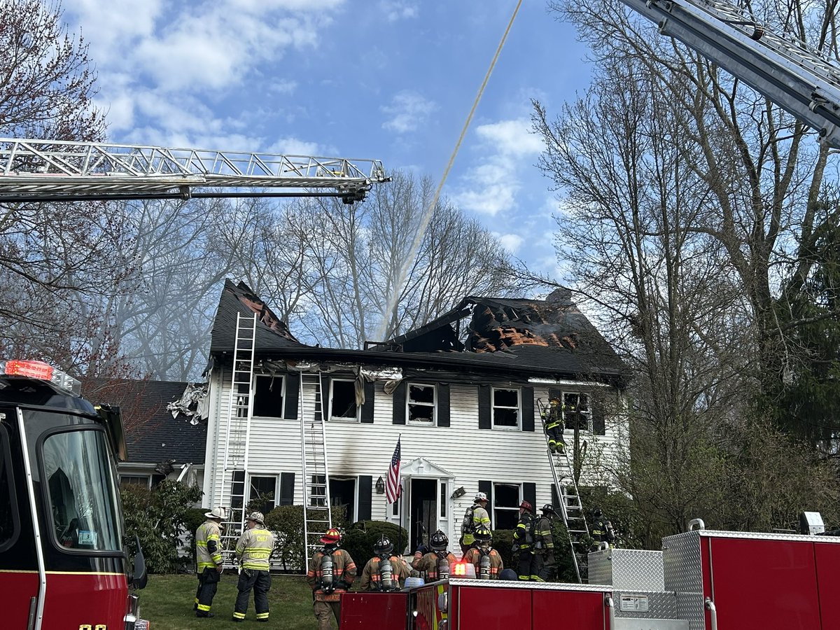 Shea Sullivan tweet media