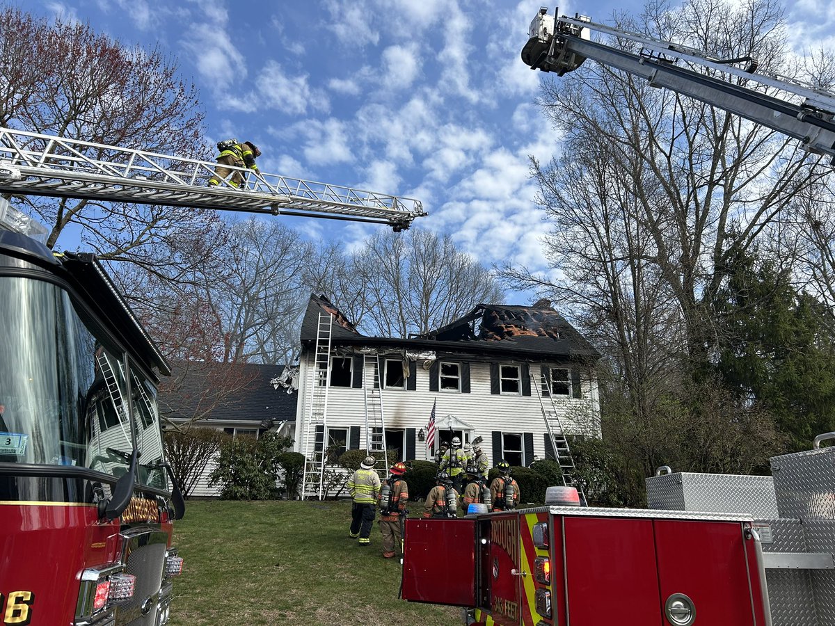 Shea Sullivan tweet media