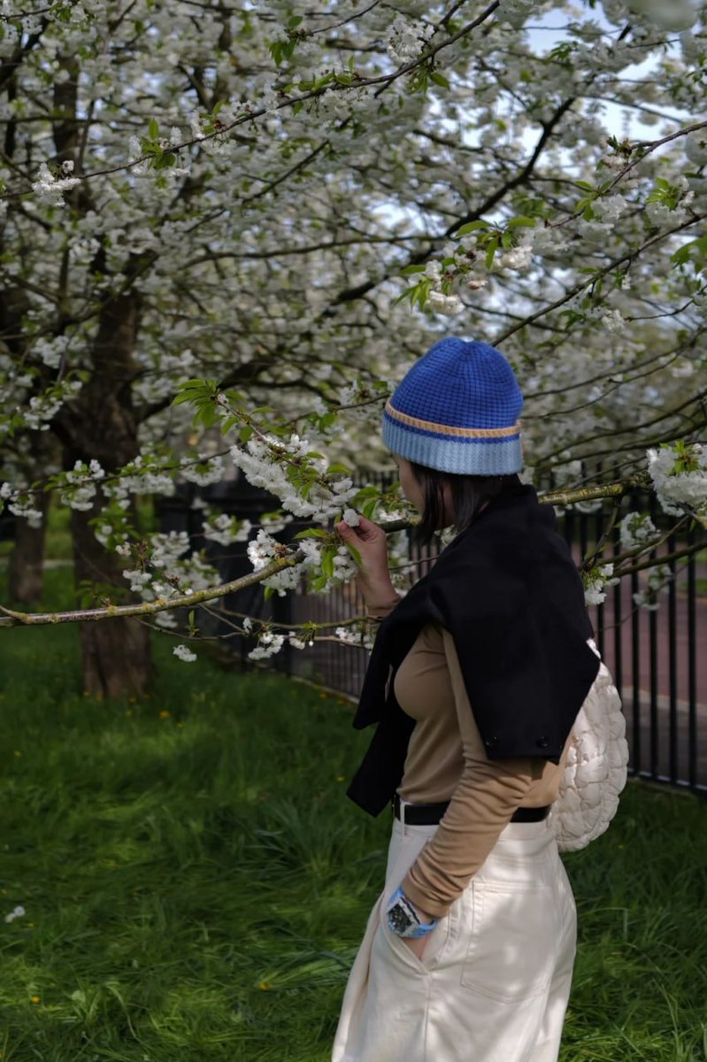 Lets enjoy the vibes of spring , blossom is on top😍😍