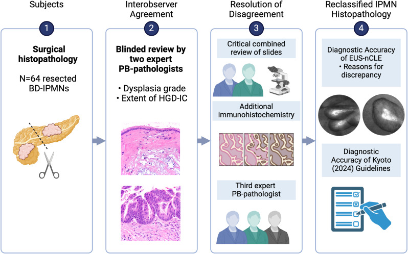 GIE (@gie_journal) on Twitter photo Article in Press: "Interobserver agreement in dysplasia grading of intraductal papillary mucinous neoplasms" by Leupold et al. giejournal.org/article/S0016-…
<a href="/som_krishna/">Somashekar Krishna, MD, MPH</a> <a href="/WeiChenMD_GI/">Wei Chen</a> <a href="/AKE_Path/">Ashwini Kumar Esnakula</a> <a href="/Ahmed1Abdelbaki/">Ahmed Abdelbaki</a> <a href="/zarineshahMD/">Zarine Shah</a> <a href="/EricaParkMD/">Erica Park</a> <a href="/JordanBurlen/">Jordan Burlen, MD</a> <a href="/HamzaWShah/">Hamza Shah</a> <a href="/GIPapachristou/">Georgios Papachristou</a> Article in Press: "Interobserver agreement in dysplasia grading of intraductal papillary mucinous neoplasms" by Leupold et al. giejournal.org/article/S0016-…
<a href="/som_krishna/">Somashekar Krishna, MD, MPH</a> <a href="/WeiChenMD_GI/">Wei Chen</a> <a href="/AKE_Path/">Ashwini Kumar Esnakula</a> <a href="/Ahmed1Abdelbaki/">Ahmed Abdelbaki</a> <a href="/zarineshahMD/">Zarine Shah</a> <a href="/EricaParkMD/">Erica Park</a> <a href="/JordanBurlen/">Jordan Burlen, MD</a> <a href="/HamzaWShah/">Hamza Shah</a> <a href="/GIPapachristou/">Georgios Papachristou</a>