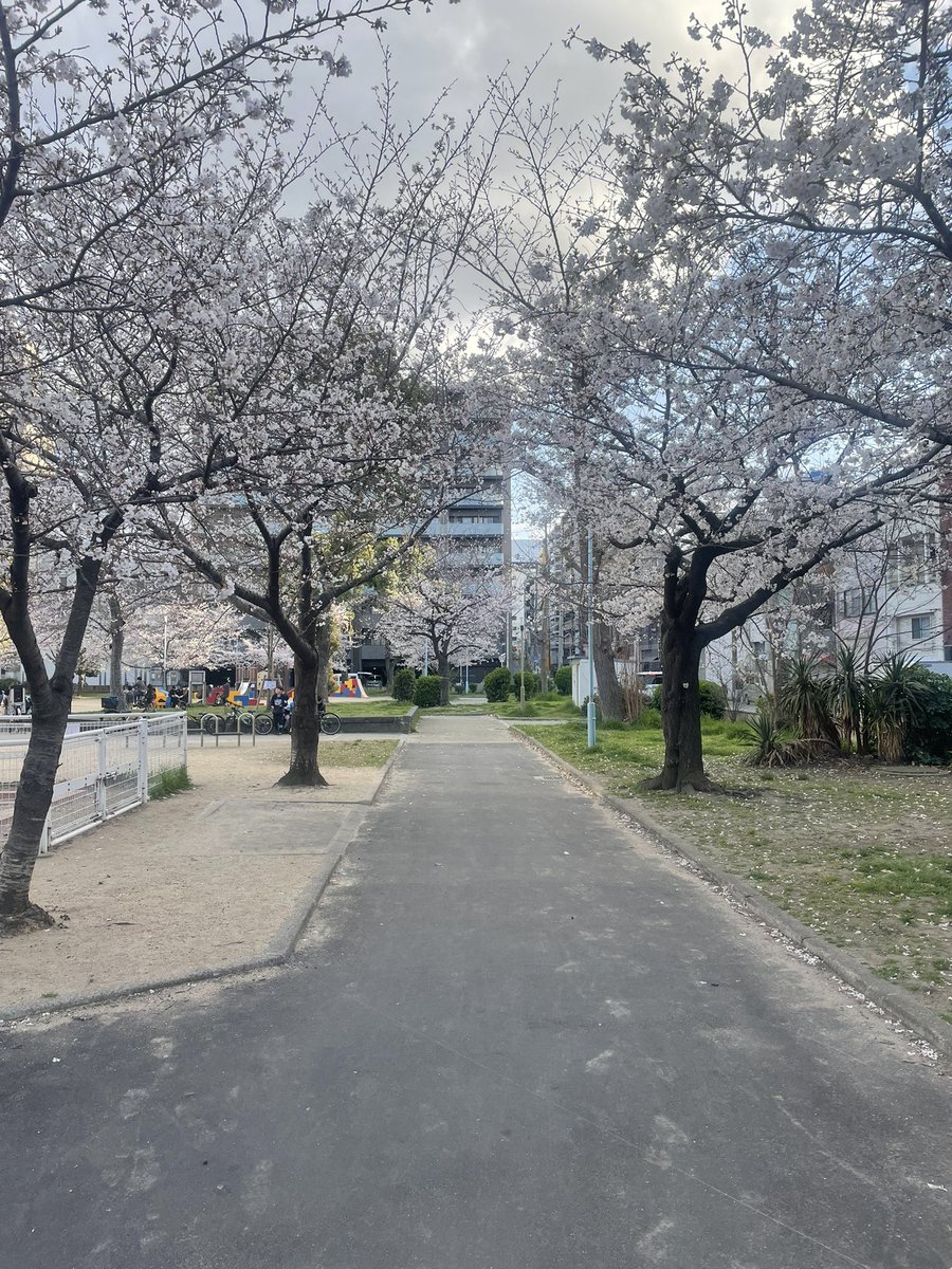 qa6552247's tweet photo. 生活吧，还是在平淡的日子里，有一丝调味料才会更有味 https://t.co/OqHvzRcZqM