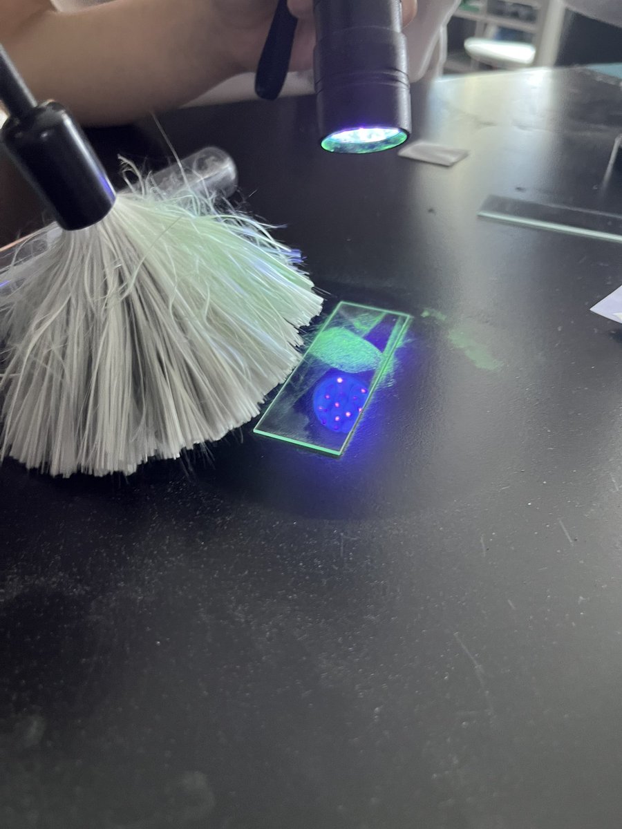 Lyndhurst Middle School tweet media