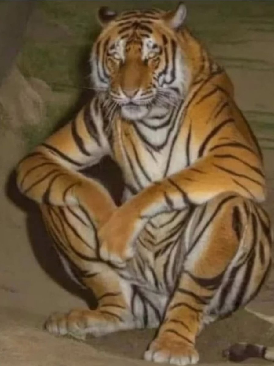 Kippen leer, ich bin leer