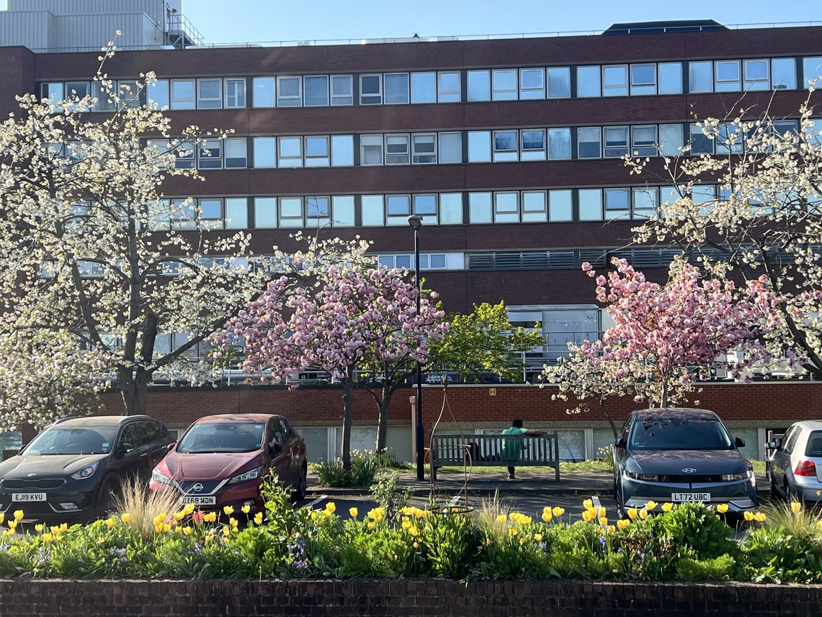 🌷 time!!! ⁦<a href="/geshNHS/">St George's, Epsom and St Helier</a>⁩ ⁦<a href="/GivingtoGeorges/">St George's Hospital Charity</a>⁩