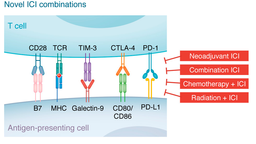 Journal of Clinical Investigation (@jclinicalinvest) on Twitter photo What causes immunotherapy resistance in head and neck cancers?
Guangyong Peng and coauthors <a href="/washumedicine/">WashU Medicine</a> review cell- and etiology-specific mechanisms and recent approaches to improving outcomes in HNSCC patients: jci.org/articles/view/… What causes immunotherapy resistance in head and neck cancers?
Guangyong Peng and coauthors <a href="/washumedicine/">WashU Medicine</a> review cell- and etiology-specific mechanisms and recent approaches to improving outcomes in HNSCC patients: jci.org/articles/view/…