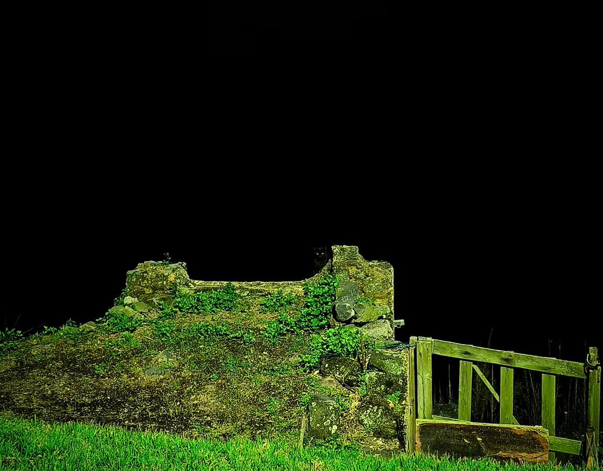 [ Night Crawler ] 🐈‍⬛🌑

Ponta Delgada (Relva), São Miguel Island, #Azores 🇵🇹

#black #blackcat #gato #gatopreto #azores #Portugal #night #noite #preto #dark #escuro <a href="/visitportugal/">Visit Portugal</a> <a href="/visiteurope/">Visit Europe</a> <a href="/NatGeoAnimals/">National Geographic Animals</a>