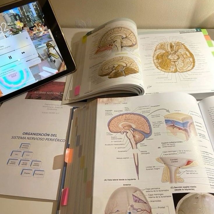livieonmed's tweet image. #studytwt #study #studytwtbr 

— 2006;
— vestibulanda de medicina 🩺;
— foco no enem &amp;amp; ufsm;
— academia, estudos, livros, series, música, lifestyle. 💌

↻/♡ = moots