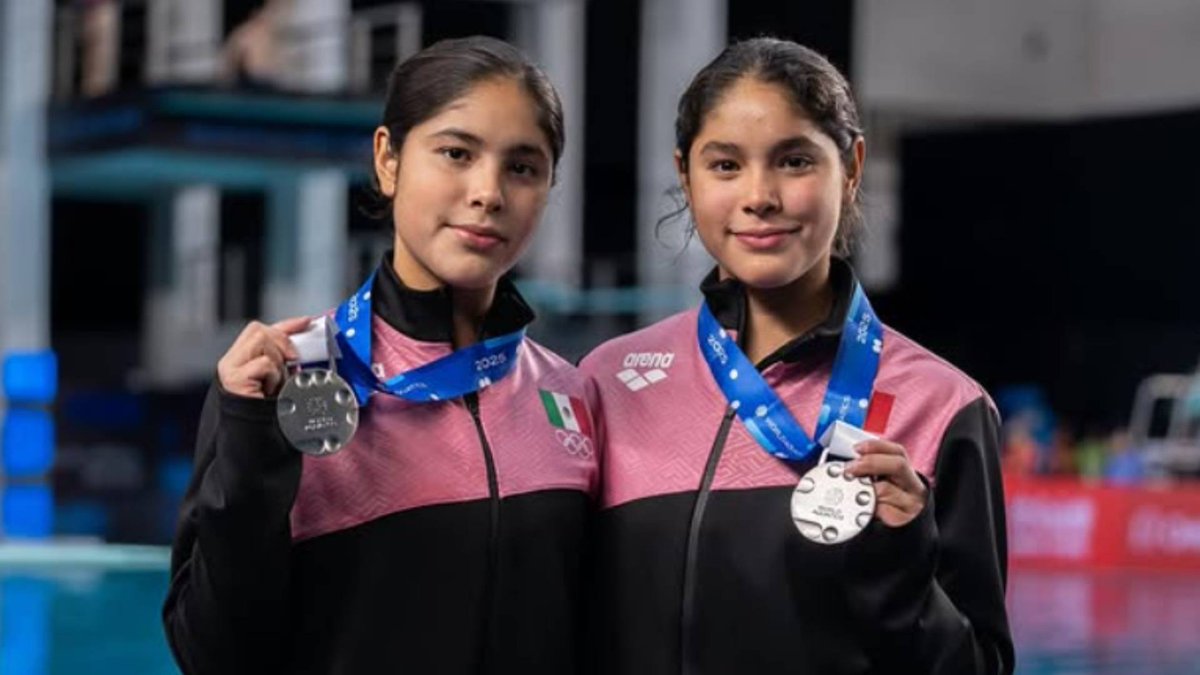 OlimpismoMex's tweet photo. Los mexicanos clasificados a la súper final de Copa del Mundo de Clavados en mayo próximo en China:

3m
♂️ Juan Celaya
♀️ Lia Cueva

10m
♂️ Randal Willars
♀️ Alejandra Estudillo y Gaby Agúndez

Y todas las parejas de sincronizados. https://t.co/s7TrlHrdSP