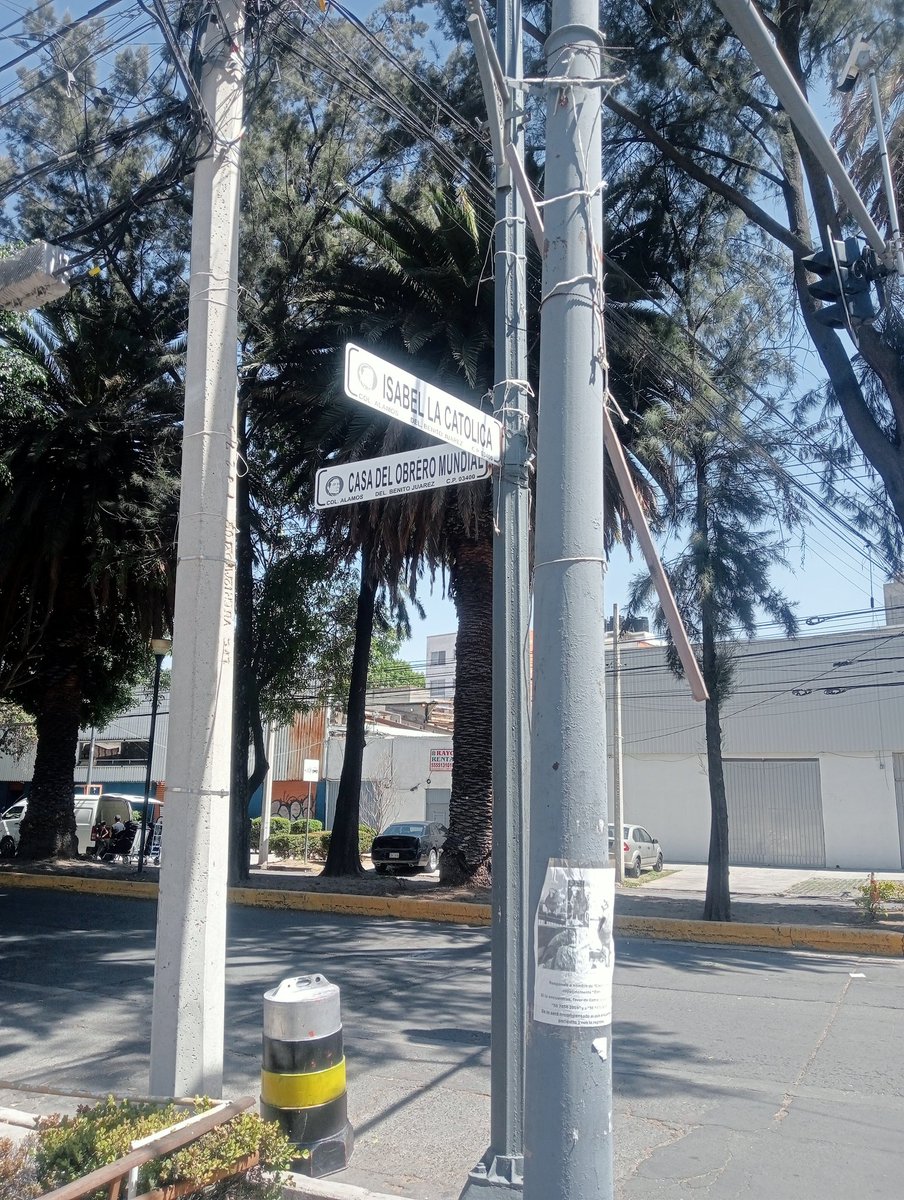 Omar Nápoles tweet media