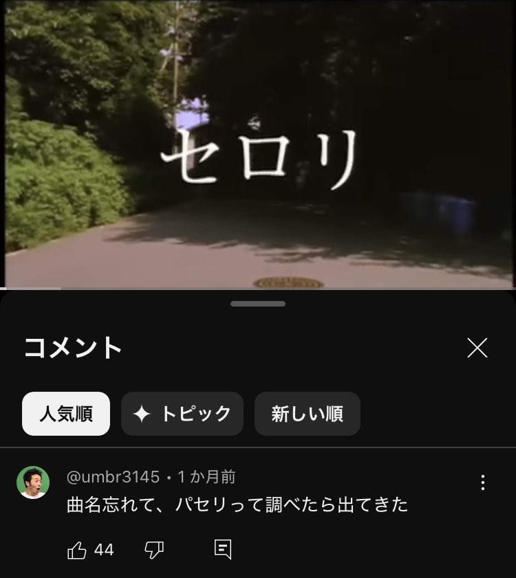 言葉で捉えようとする癖が音や光に触れた感触を蔑ろにしてしまう気がする。

それは伝えづらく優先順位は下がる事は多いが要らないわけじゃない。
わかりやすく価値を感じてもらえないが大切なのでシレッと添える。

だから、改めてパセリも食べてみようと思った

う〜ん....