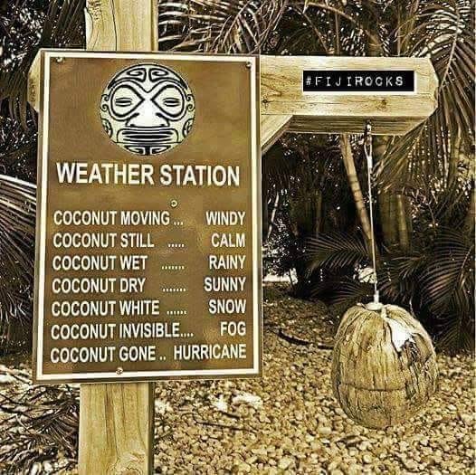 Peggy Henson (@peggyhhenson) on Twitter photo 