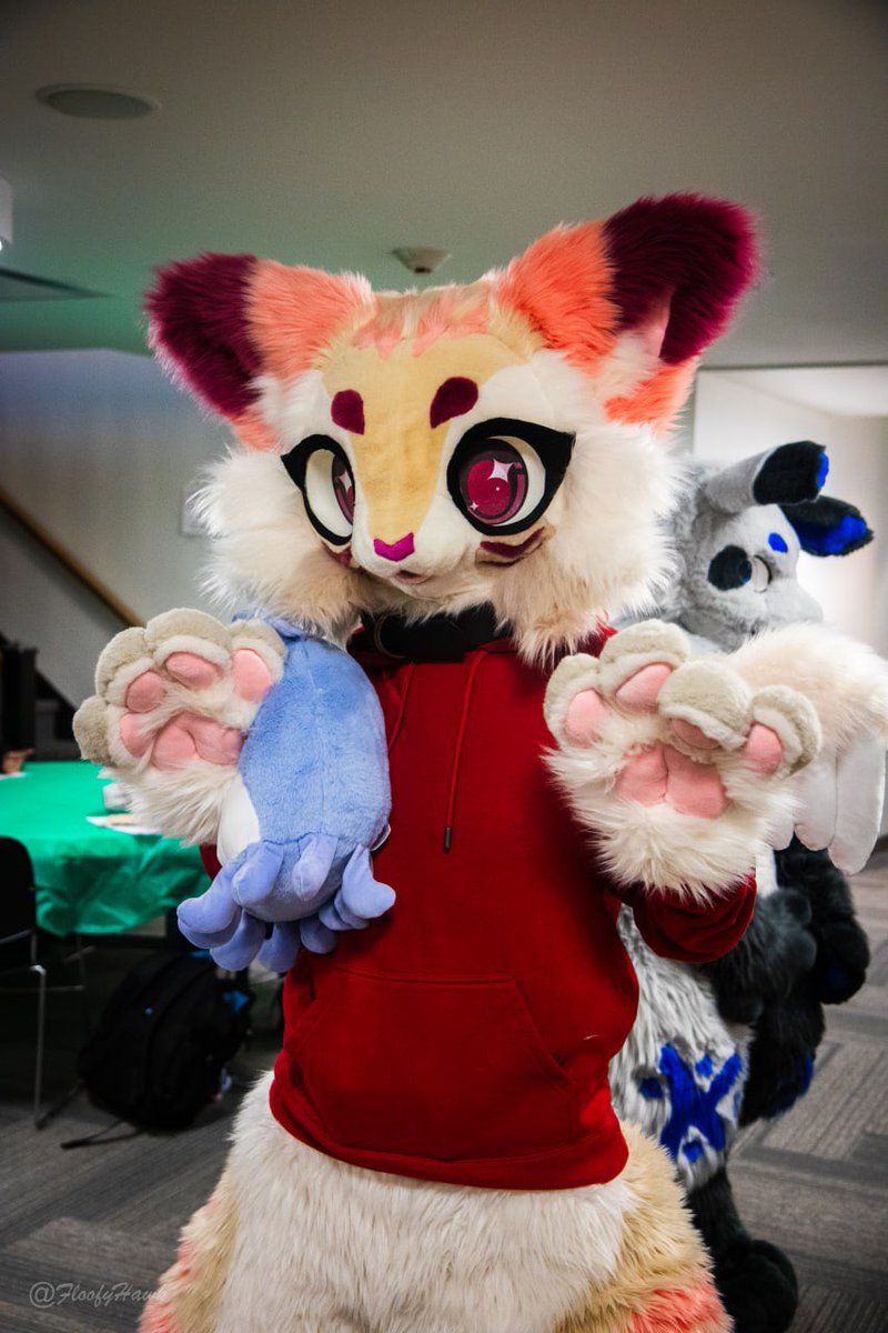 junothehare's tweet photo. I've kept quiet ab this for a while, but between several unexpected, major expenses, I've been really hurting for money. Because of this, I'm putting my Matchapawz halfsuit up for sale; he's only been worn once, for 5 hours. $4k OBO, dm for more info https://t.co/yNiNUKpHoq