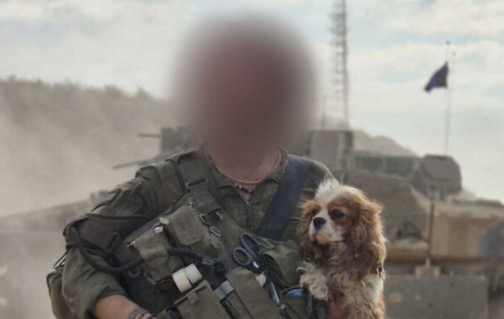 Eli Afriat 🇮🇱 tweet media