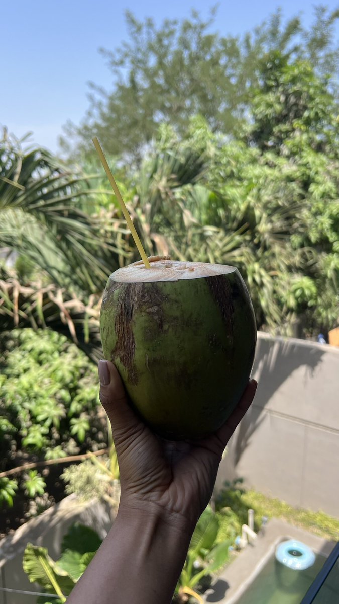 andreaaa0118_'s tweet photo. Coconut 🥥 https://t.co/dFrvOdc66J