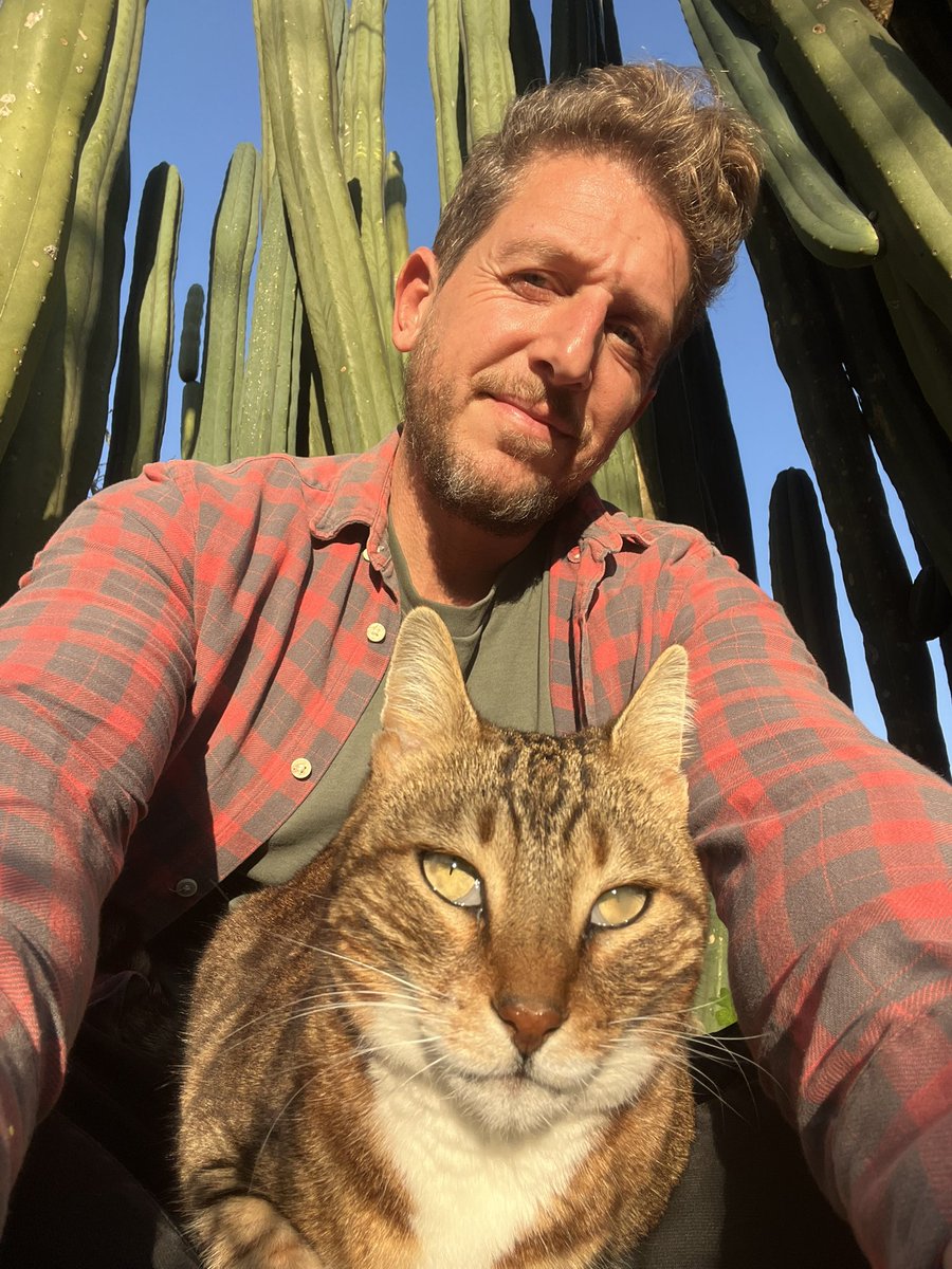 Łite.𝕏 tweet media