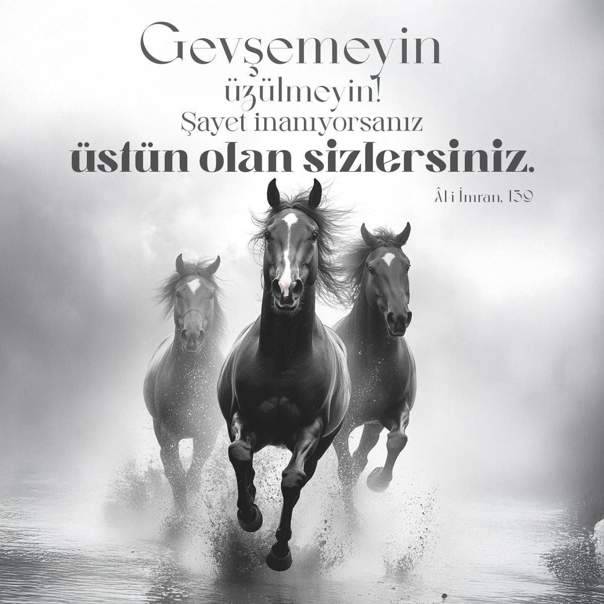 Sukunetduragi's tweet photo. Gevşemeyin, üzülmeyin! Şayet inanıyorsanız üstün olan sizlersiniz.

(3/Âl-i İmran, 139)

#TakeActionForGaza #FetihVakti Gazze İçin Harekete Geç https://t.co/eWsW78AU8m