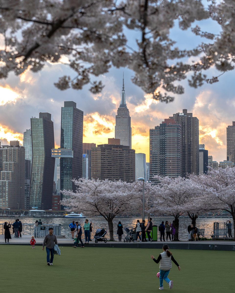 EmpireStateBldg's tweet image. Spring has sprung

📷: mrgreen_photography/IG