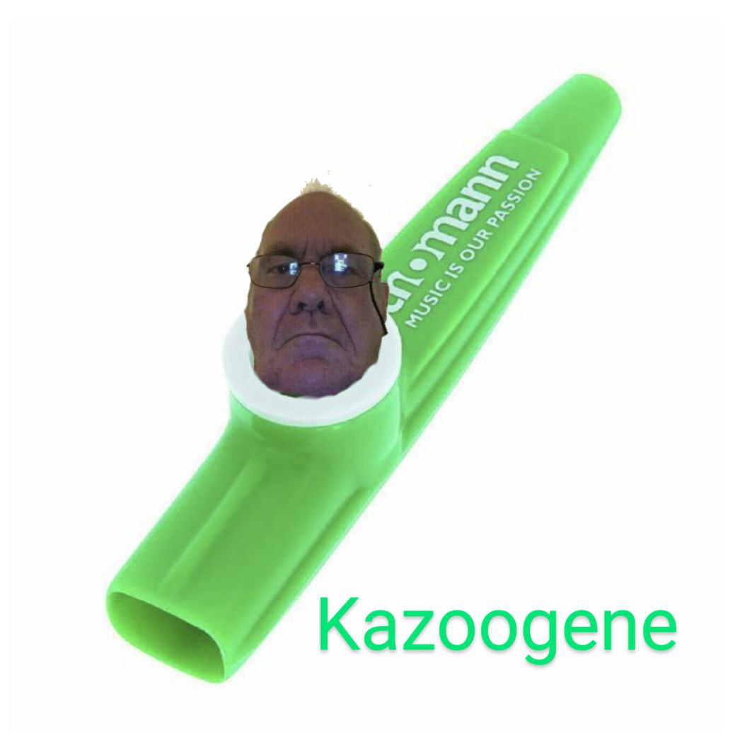 test account (please ignore) tweet media