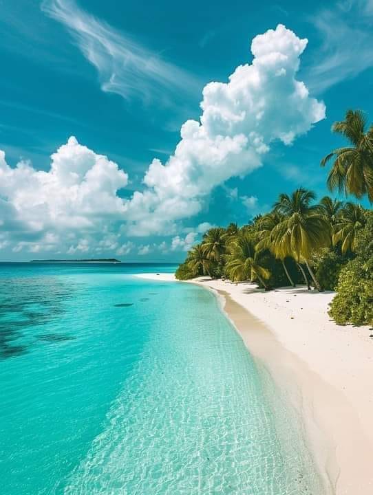 Every day is a new adventure in the Maldives