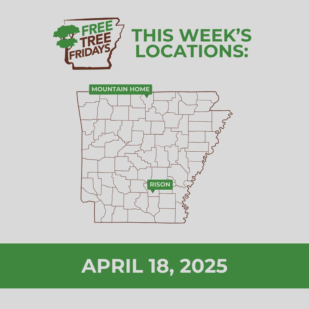 Free Tree Fridays continue this week! All giveaways are on a first-come, first-served basis and will run from 11 a.m. to 1 p.m., or until all seedlings are handed out.

Learn more: agriculture.arkansas.gov/forestry/urban…