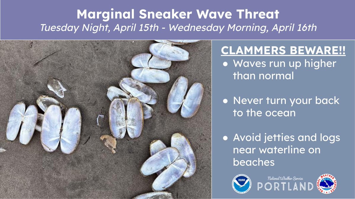 Razor clammers beware, there are marginal risks for sneaker waves tonight through tomorrow morning. The risk is greatest around high tide (about 3 am) before dawn, but be aware of the potential for sneaker waves if taking the risk in the morning. #ORWX #WAWX