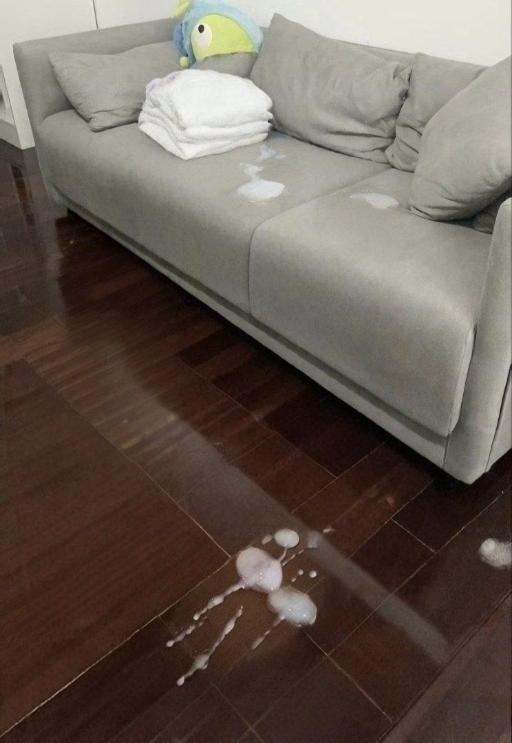 臭宝，你的量真的有很多呢！姐姐很好奇你有憋了多久呢？

#纽约 #附近交友 #私信 #女大学生 #服务 #华人留学生