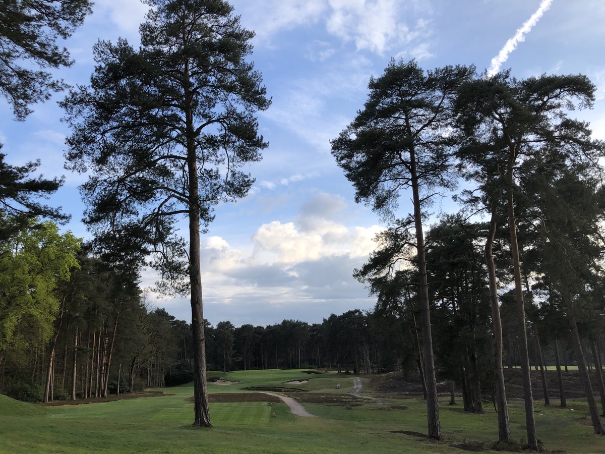 St George's Hill Golf Club (@stgeorgeshillgc) on Twitter photo 