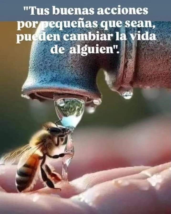 #themasters #THEMALLLIFESTORExPERSES #tangian #trading