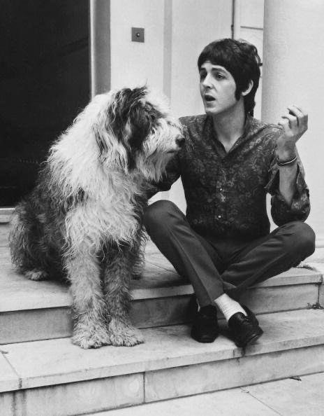 acervomccartney's tweet photo. martha sendo comicamente grande https://t.co/GBOO29USNU