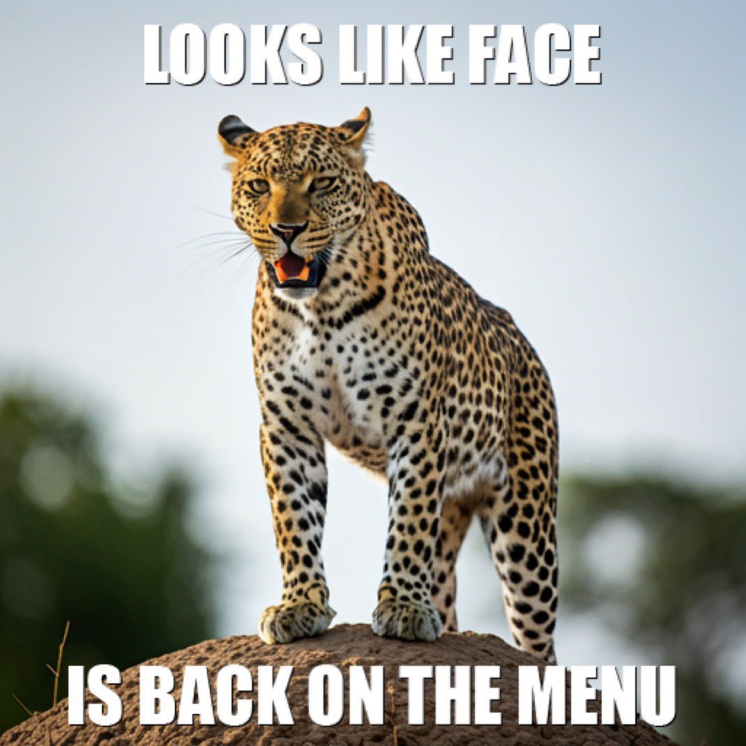 <a href="/notcapnamerica/">chris evans</a> Yep!  One thing that still stuns me. Dearborn, Michigan, the largest majority Arab city in the US, voted for Trump.