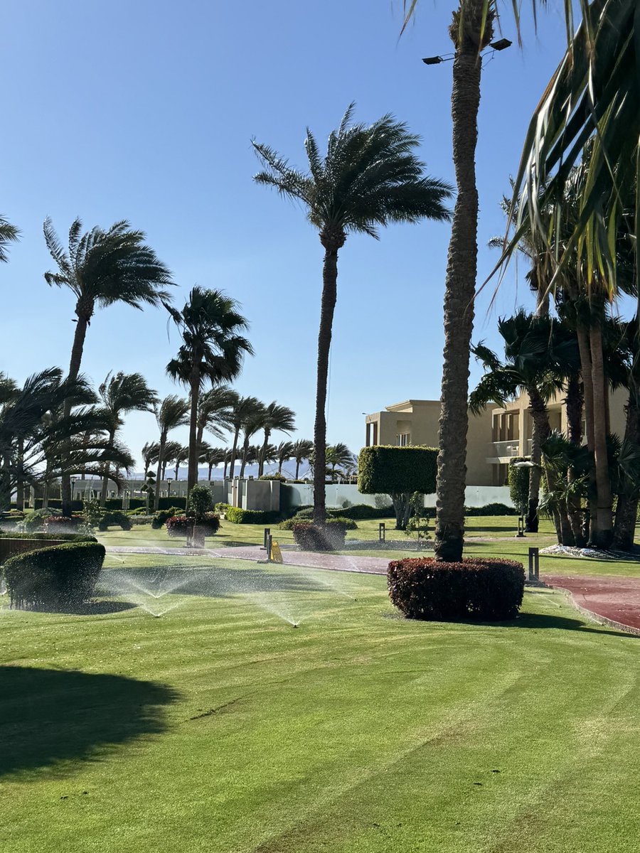 RalfAlan's tweet image. A truly wonderful stay at Rixos Premium Seagate in Sharm El Sheikh. One of the most relaxing and enjoyable holidays we’ve had in a very long time.
#RixosPremiumSeagate #SharmElSheikh #LuxuryTravel