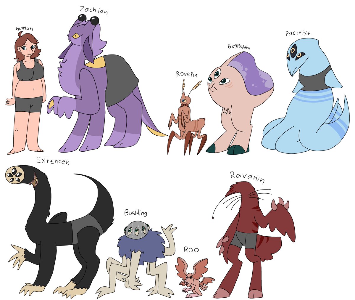 PumpkinPelt tweet media