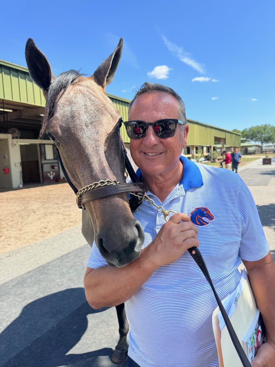 SoSRacingStable's tweet photo. Welcome to the #SoSRacing family, Hip #270. 😍
This beautiful Mendelssohn filly is the newest addition to our stable and we couldn’t be more thrilled. https://t.co/sIfYyQVxqp