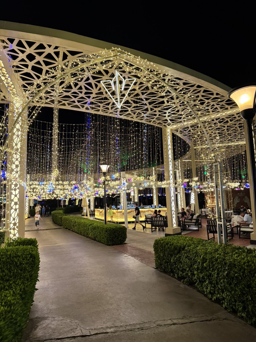 Rafed Ali tweet media