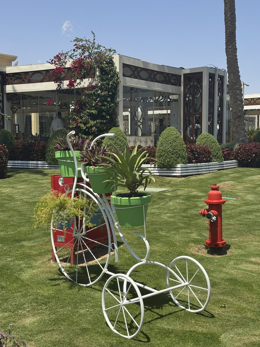 Rafed Ali tweet media