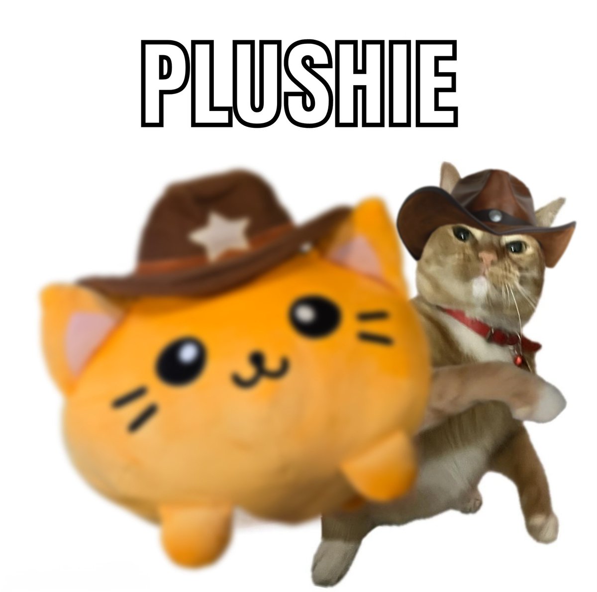 Yeehaw! 🤠 Plushies are 30% OFF for a limited time! Cowboycatsaloon.com