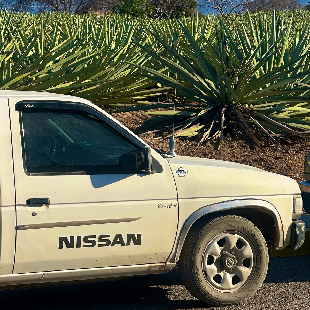 El domingo en la feria local del #Mezcal en Mengolí de Morelos, Miahuatlán... no saben la joya de mezcales que hacen aquí 🤩.

#Oaxaca #TwitterOax