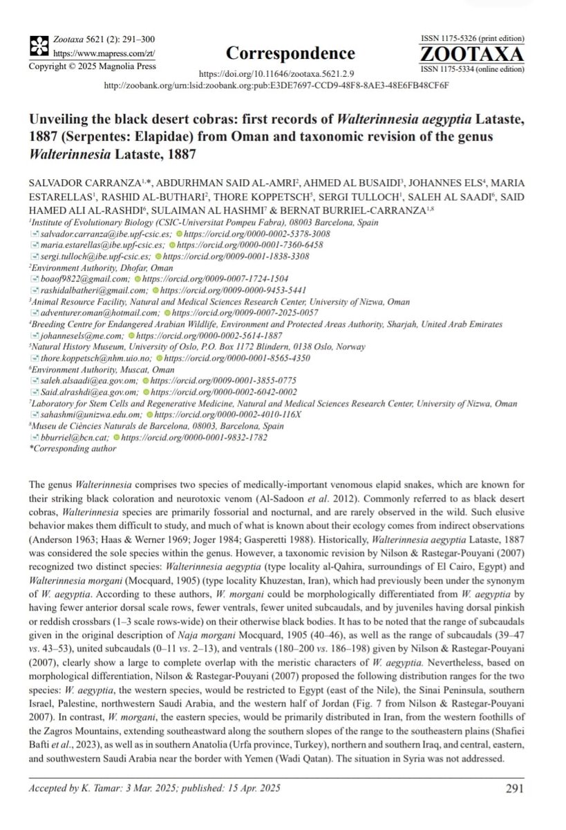 إنجاز علمي جديد لجامعة نزوى

تمكّن باحثو الجامعة - بالتعاون مع معهد علم الأحياء التطوري في إسبانيا - من تسجيل أفعى "الصّل الأسود" (المعروفة باسم كوبرا الصحراء) لأول مرة في سلطنة عُمان، ليرتفع عدد أنواع الأفاعي المسجّلة في البلاد إلى ٢٢ نوعًا.

نُشرت تفاصيل الخبر في مجلة Zootaxa